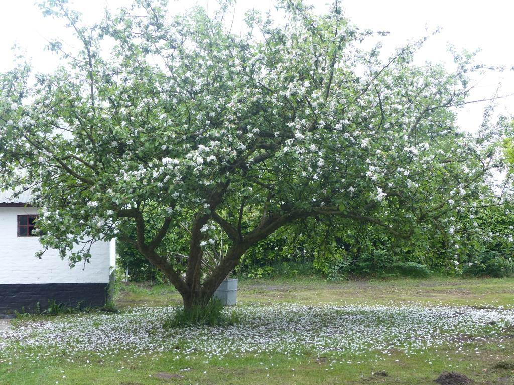 Tistrup Kristiansminde Farm Holiday מראה חיצוני תמונה